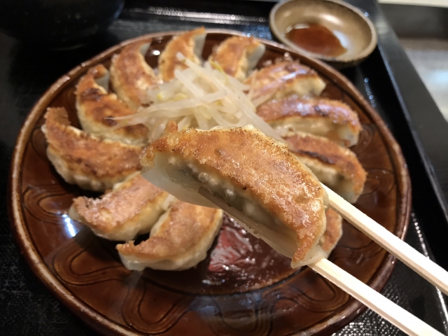 静岡の名物料理　浜松餃子